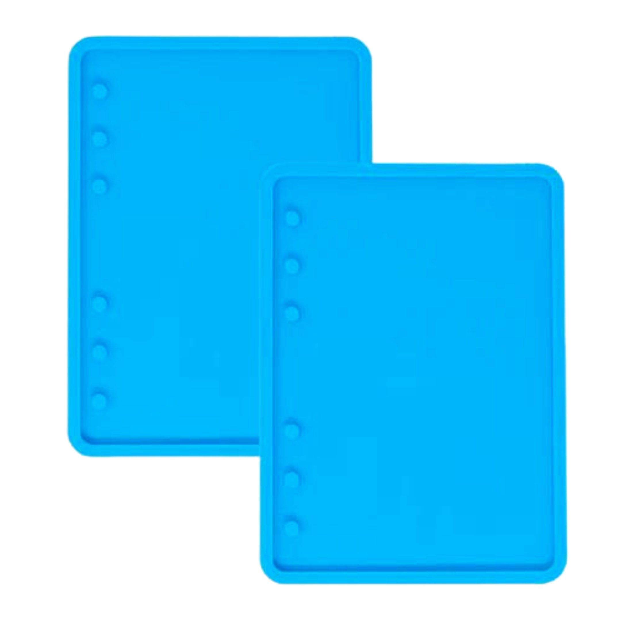 A6 Diary Pack of 2 - The Mould Story