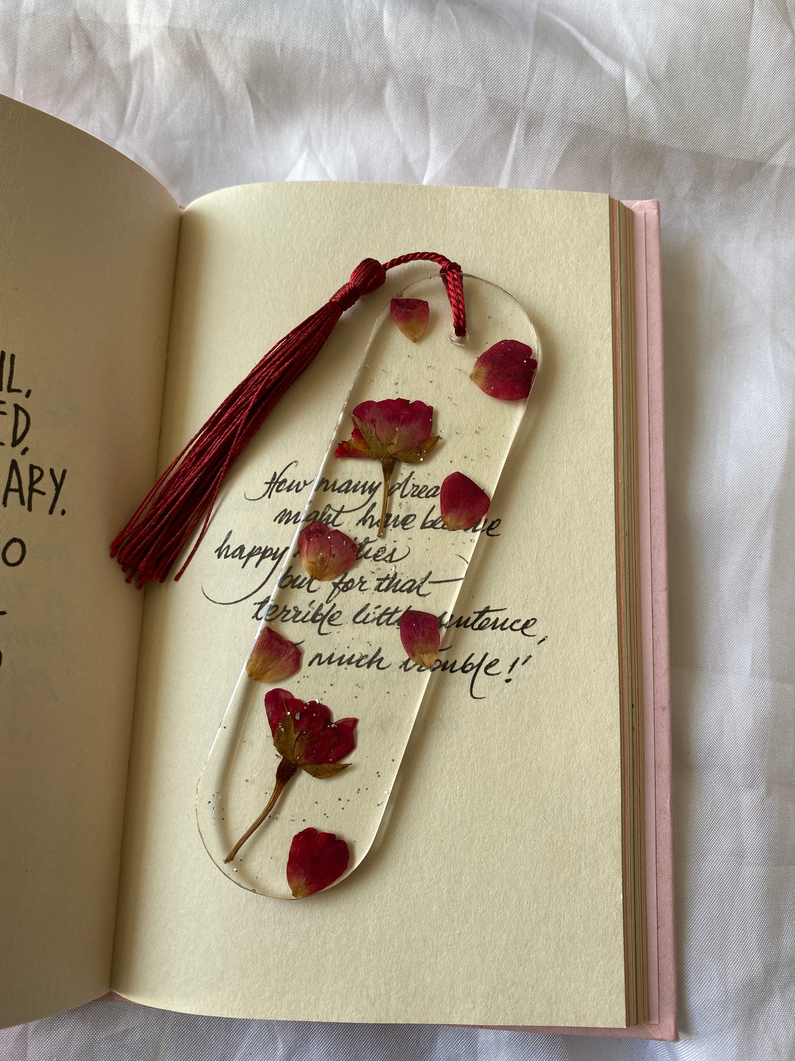 Medium Curved Bookmarks Pack of 4 - The Mould Story