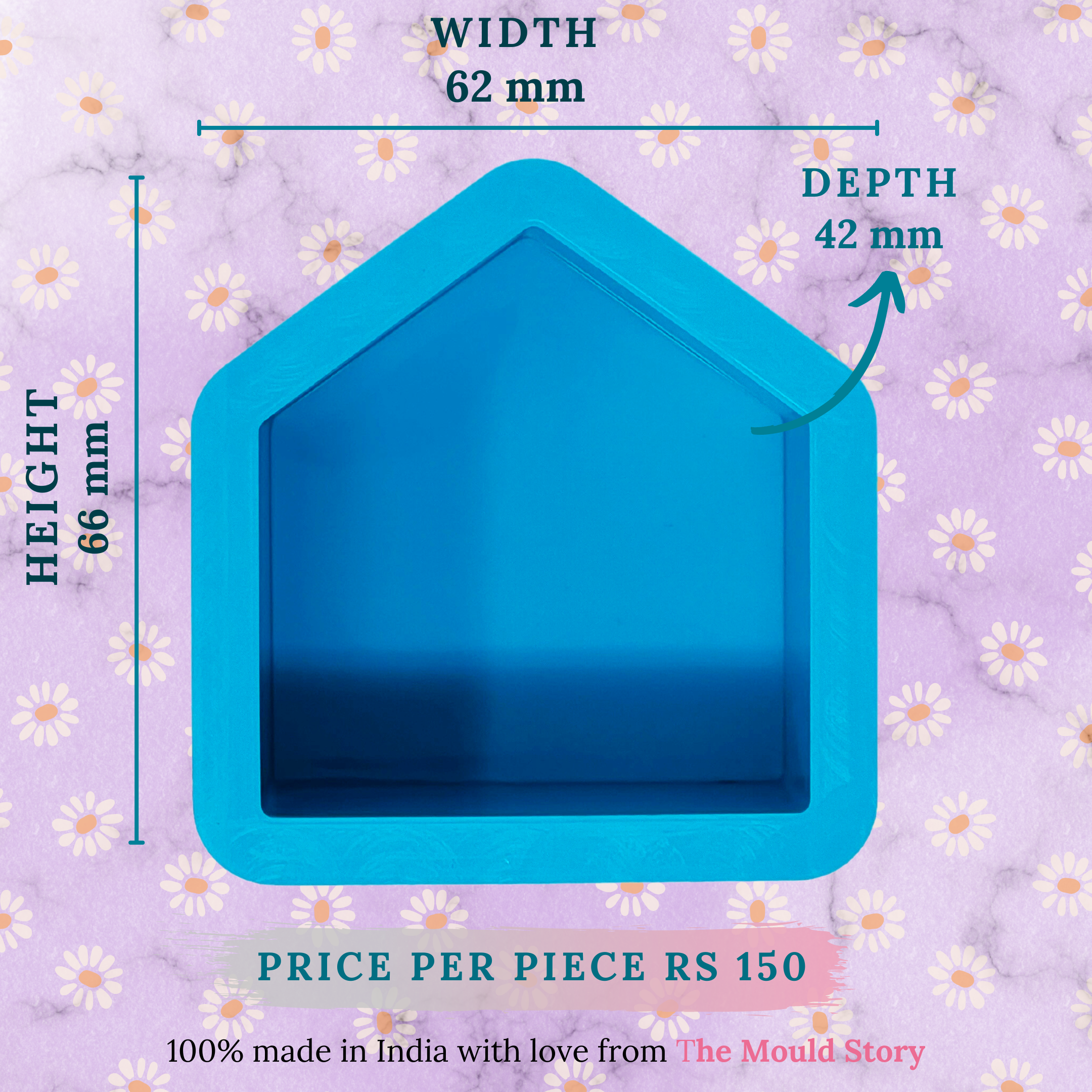 Small Home Mould - The Mould Story