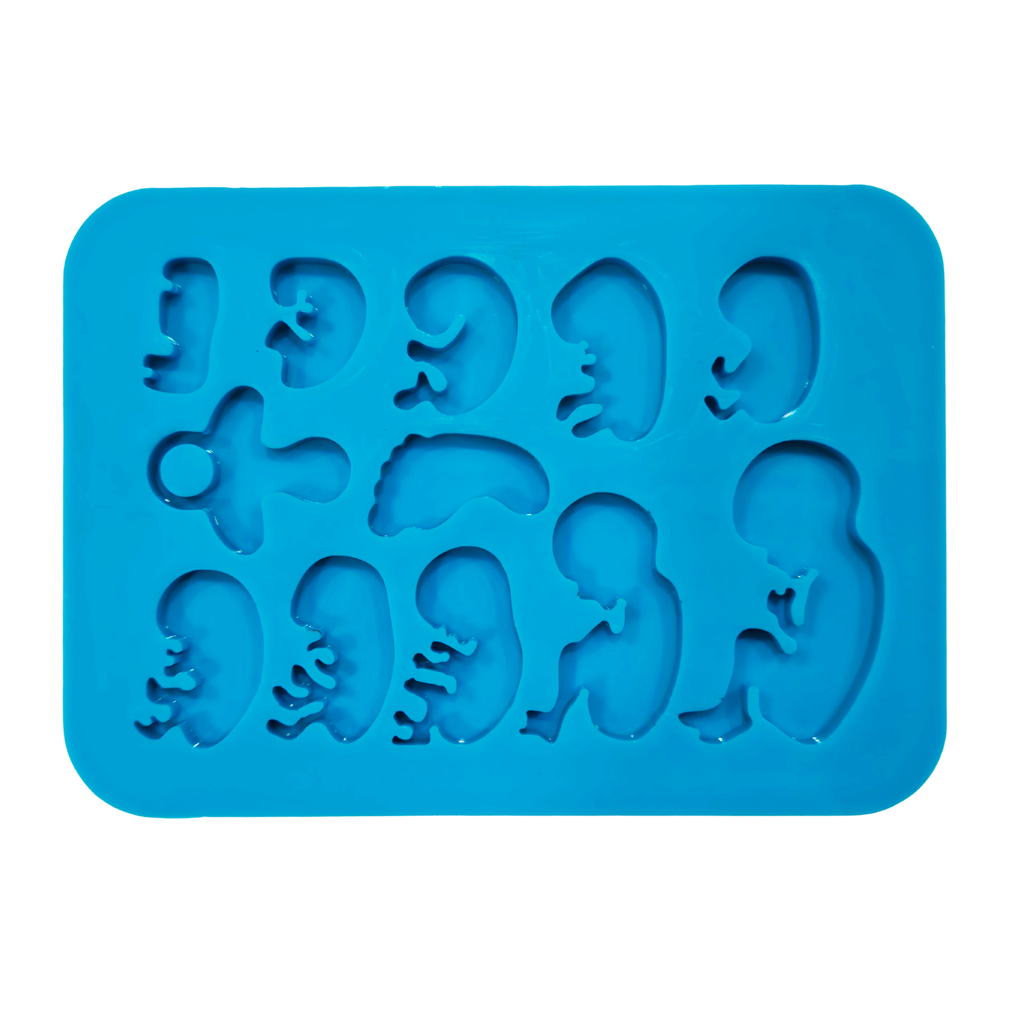 Fetus Palette Mould - The Mould Story