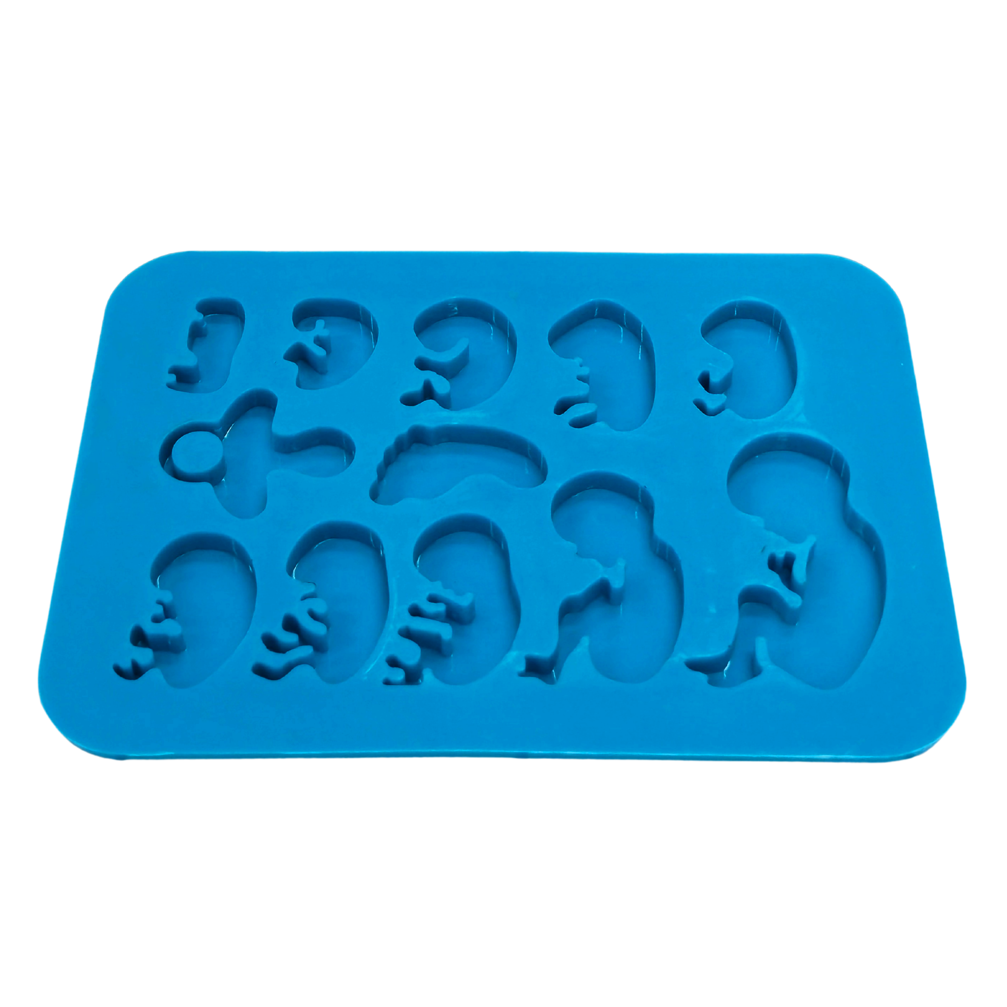 Fetus Palette Mould - The Mould Story